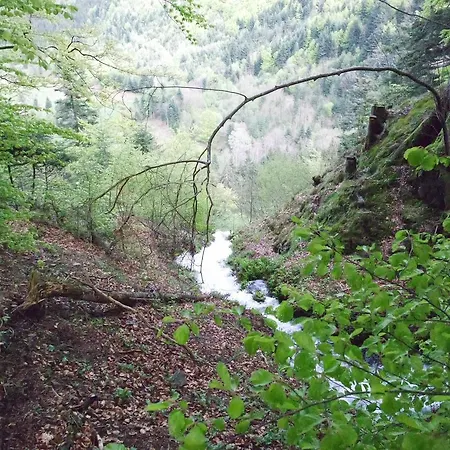 Alpehytte Hertzland Ranspach