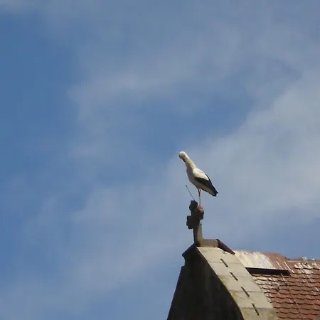 Hertzland Alpehytte