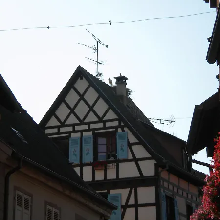 Hertzland